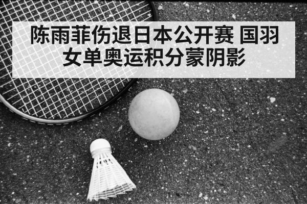 Japan Open badminton